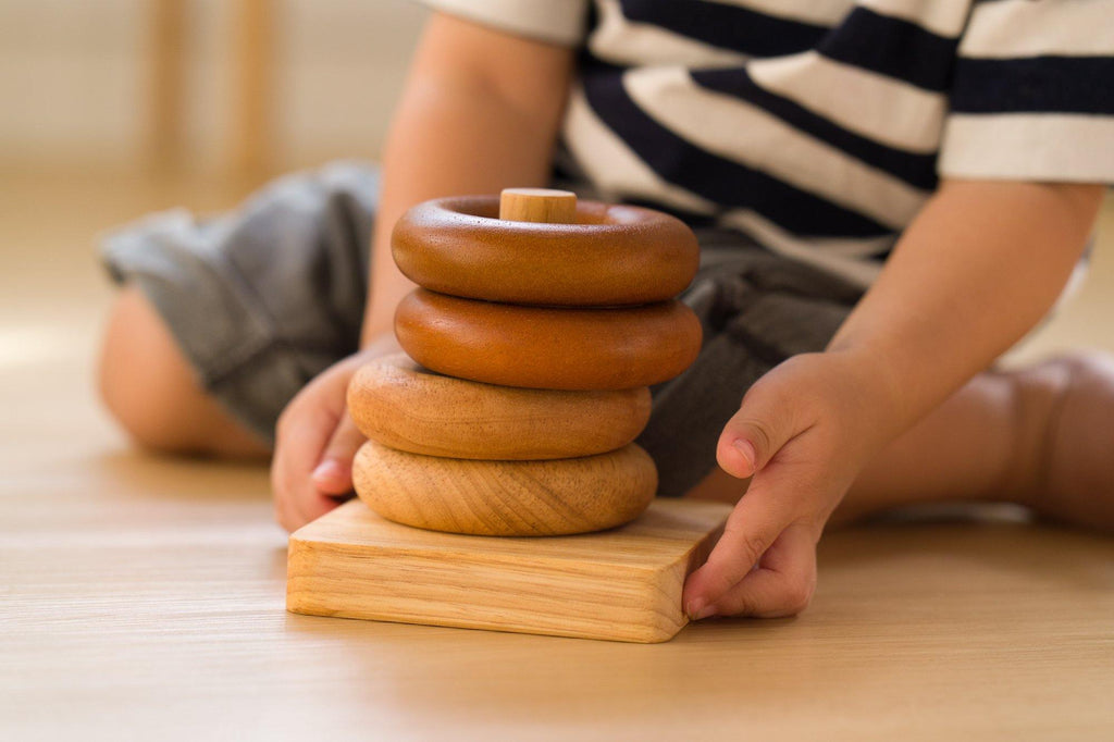 Montessori Sorting Rings - Big Head