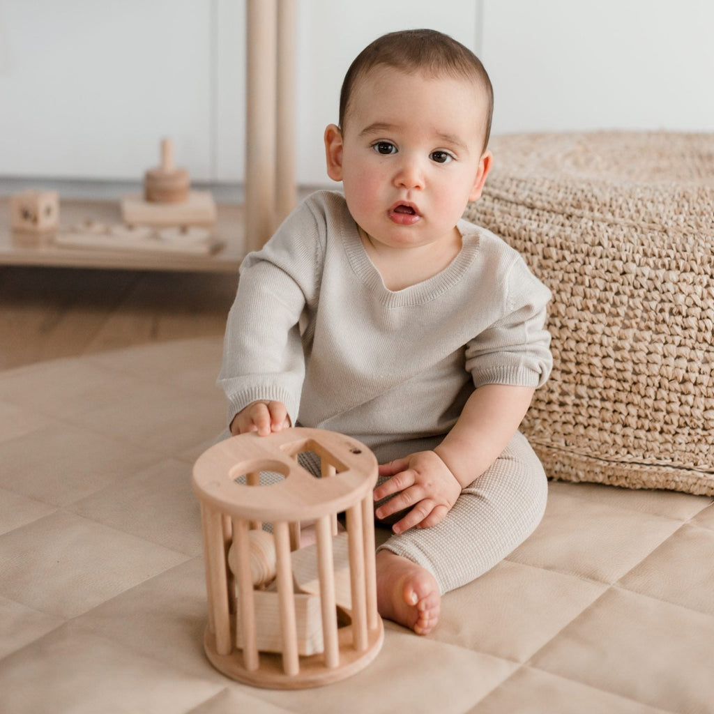 Wooden Shape Sorter & Rattle | QToys – Big Head