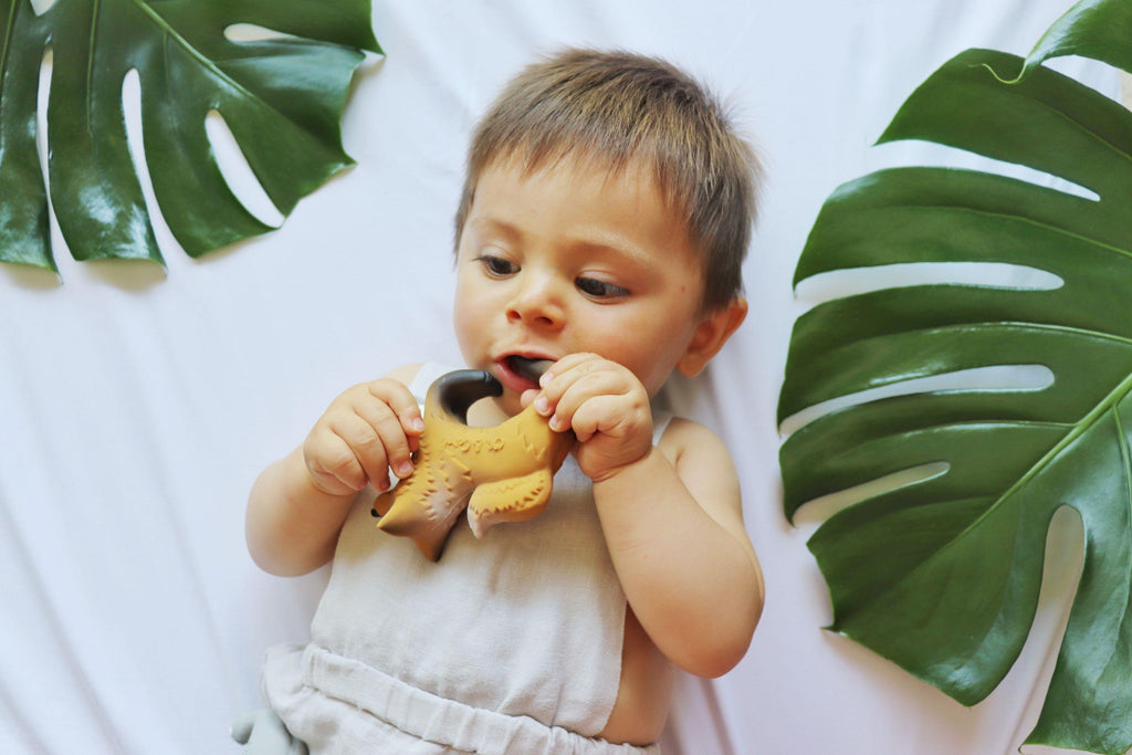 Chewable Bracelet - Rob The Fox  | Oli & Carol Natural Teether - Big Head