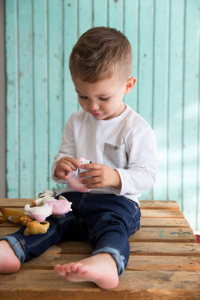 Chewable Bracelet - Rob The Fox  | Oli & Carol Natural Teether - Big Head