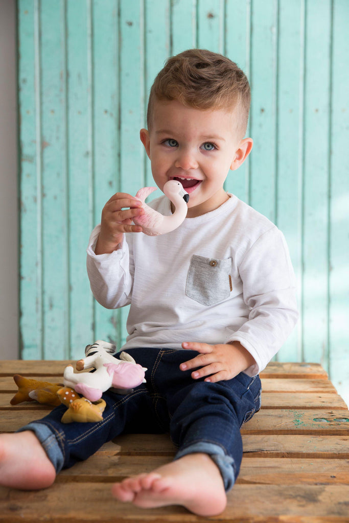 Chewable Bracelet - Rob The Fox  | Oli & Carol Natural Teether - Big Head