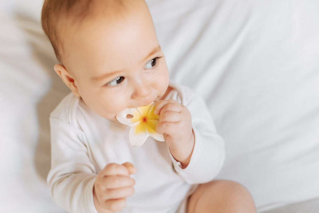 Hawaii The Flower | Chewy-To-Go Baby Teether | Oli & Carol - Big Head