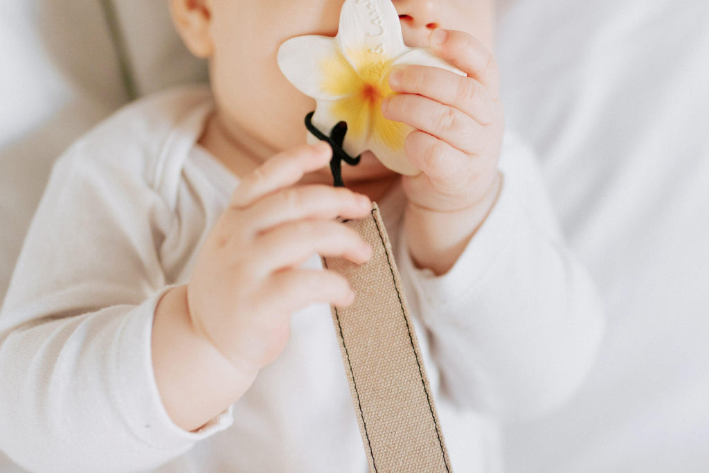 Hawaii The Flower | Chewy-To-Go Baby Teether | Oli & Carol - Big Head