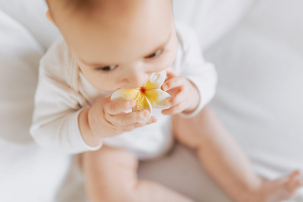 Hawaii The Flower | Chewy-To-Go Baby Teether | Oli & Carol - Big Head