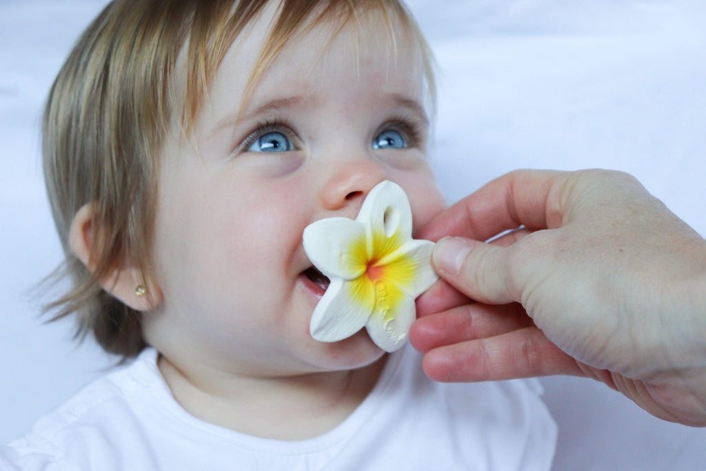 Hawaii The Flower | Chewy-To-Go Baby Teether | Oli & Carol - Big Head