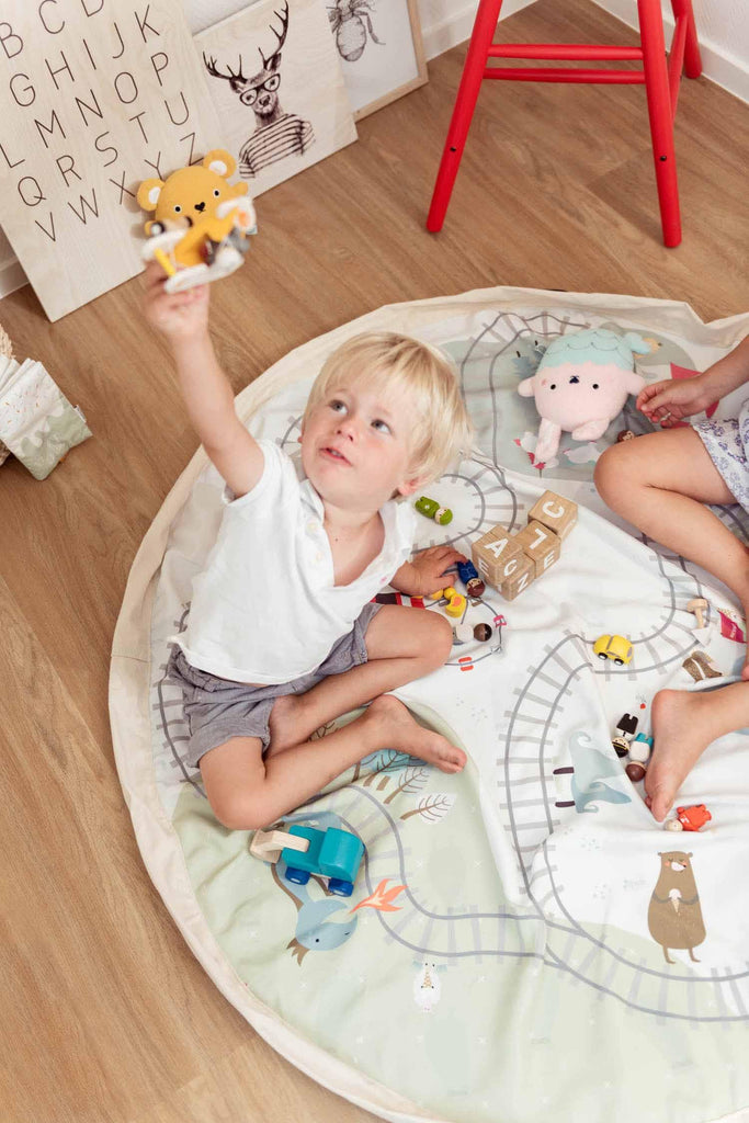 Trainmap/Bears Toy Storage Bag - Big Head